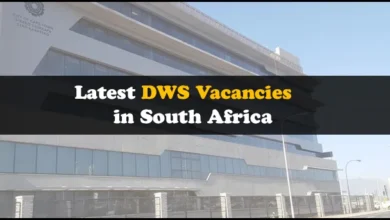 DWS Vacancies
