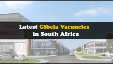 Gibela Vacancies