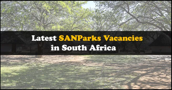 SANParks Vacancies