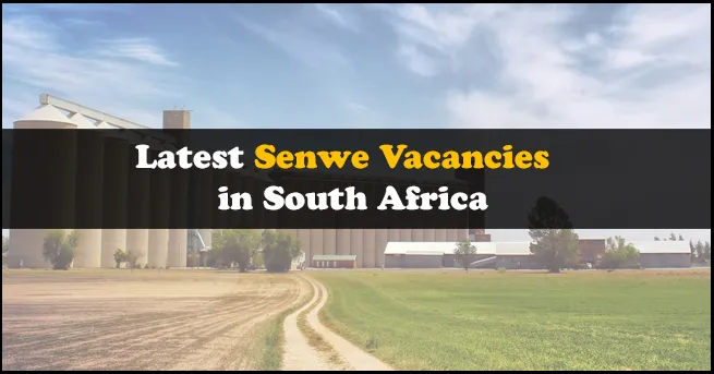 Senwe Vacancies